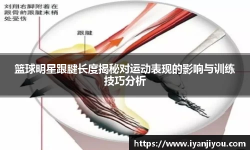 MK体育恩波利